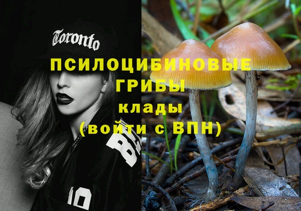 дурь Магас