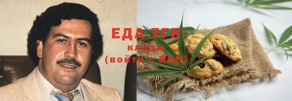 дурь Магас
