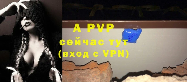 дурь Магас