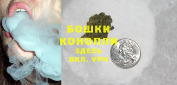 мдпв Бежецк
