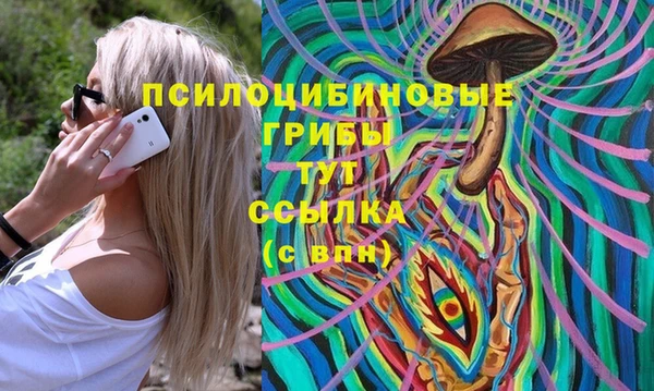 мдпв Магадан