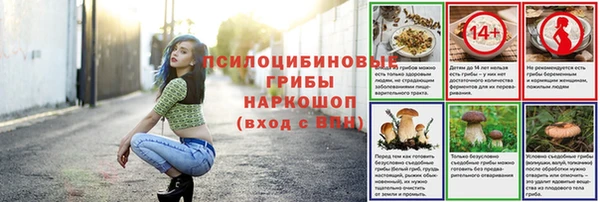 мдпв Магадан