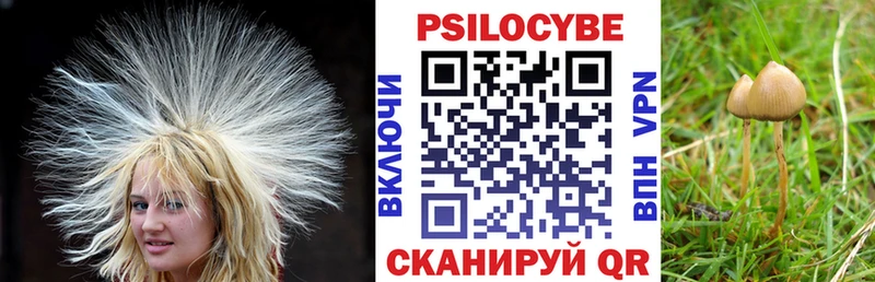 Галлюциногенные грибы ЛСД  blacksprut ONION  Шарья 